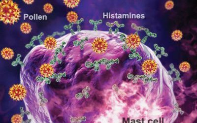 Mast Cell Activation Disorder And Histamine